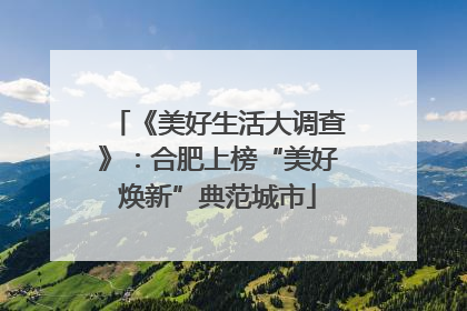 《美好生活大调查》：合肥上榜“美好焕新”典范城市