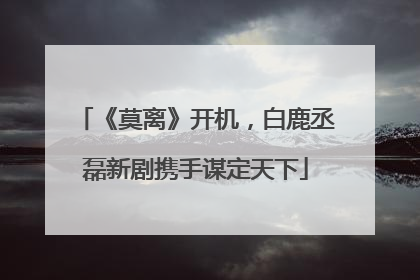 《莫离》开机，白鹿丞磊新剧携手谋定天下