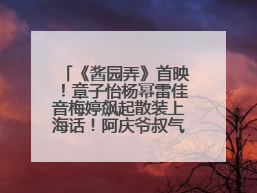 《酱园弄》首映！章子怡杨幂雷佳音梅婷飙起散装上海话！阿庆爷叔气氛组！独独没见他……