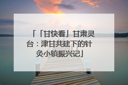 「甘快看」甘肃灵台：津甘共建下的针灸小镇振兴记