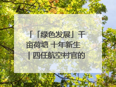 「绿色发展」千亩荷塘 十年新生｜四任航空村官的“生态接力”