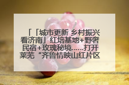 「城市更新 乡村振兴看济南」红培基地+野奢民宿+玫瑰秘境……打开莱芜“齐鲁情映山红片区”的破圈秘籍