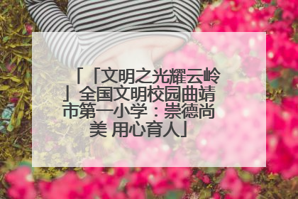 「文明之光耀云岭」全国文明校园曲靖市第一小学：崇德尚美 用心育人