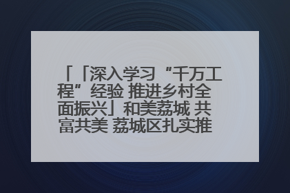 「深入学习“千万工程”经验 推进乡村全面振兴」和美荔城 共富共美 荔城区扎实推进乡村振兴工作