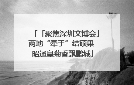 「聚焦深圳文博会」两地“牵手”结硕果 昭通皇菊香飘鹏城