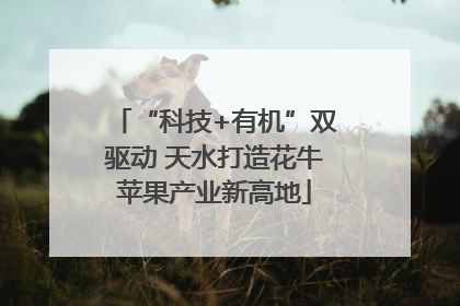 “科技+有机”双驱动 天水打造花牛苹果产业新高地