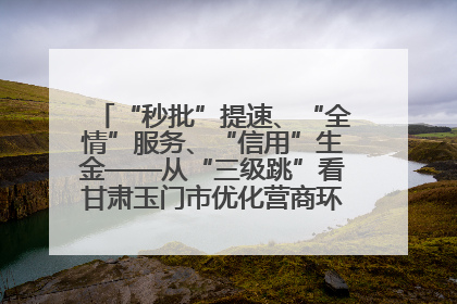 “秒批”提速、“全情”服务、“信用”生金——从“三级跳”看甘肃玉门市优化营商环境的进阶之路