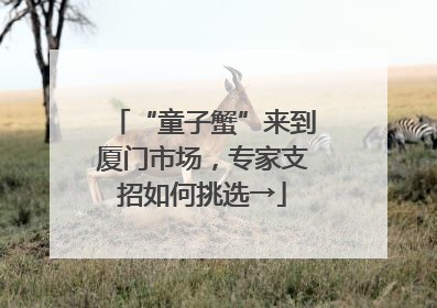 “童子蟹”来到厦门市场，专家支招如何挑选→