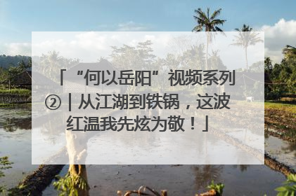 “何以岳阳”视频系列②｜从江湖到铁锅，这波红温我先炫为敬！
