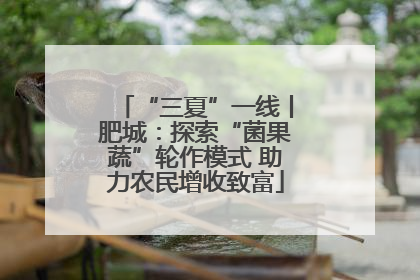 “三夏”一线丨肥城：探索“菌果蔬”轮作模式 助力农民增收致富