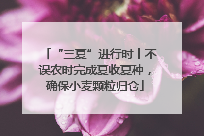 “三夏”进行时丨不误农时完成夏收夏种，确保小麦颗粒归仓