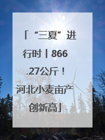 “三夏”进行时丨866.27公斤！河北小麦亩产创新高