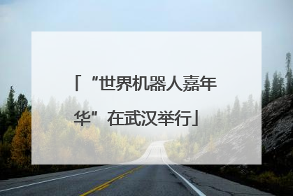 “世界机器人嘉年华”在武汉举行