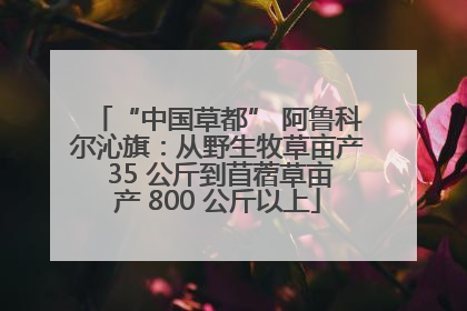 “中国草都” 阿鲁科尔沁旗：从野生牧草亩产 35 公斤到苜蓿草亩产 800 公斤以上