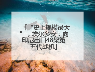 “史上规模最大”，埃尔多安：向印尼出口48架第五代战机