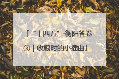 “十四五”·衡阳答卷③｜收粮时的小插曲