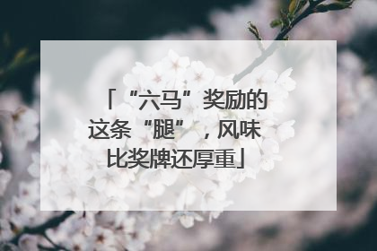 “六马”奖励的这条“腿”，风味比奖牌还厚重