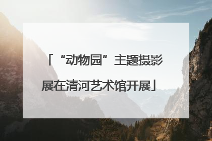 “动物园”主题摄影展在清河艺术馆开展