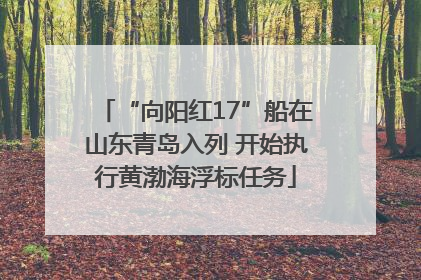 “向阳红17”船在山东青岛入列 开始执行黄渤海浮标任务