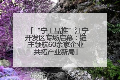 “宁工品推”江宁开发区专场启幕：链主领航60余家企业共拓产业新局