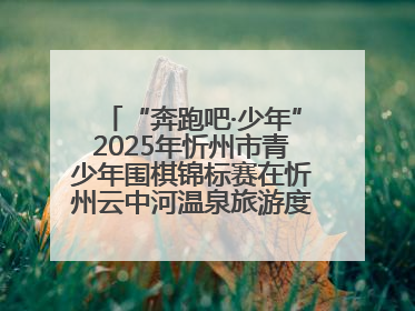 “奔跑吧·少年”2025年忻州市青少年围棋锦标赛在忻州云中河温泉旅游度假区圆满举办
