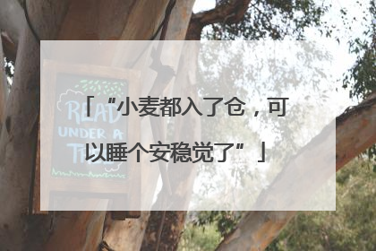 “小麦都入了仓，可以睡个安稳觉了”