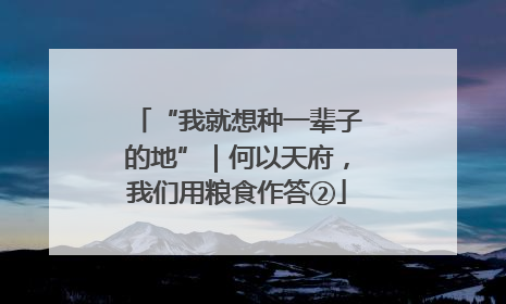 “我就想种一辈子的地”｜何以天府，我们用粮食作答②