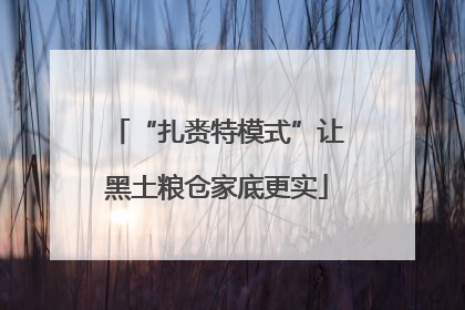 “扎赉特模式”让黑土粮仓家底更实