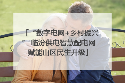 “数字电网+乡村振兴” 临汾供电智慧配电网赋能山区民生升级