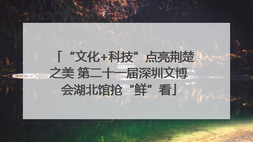 “文化+科技”点亮荆楚之美 第二十一届深圳文博会湖北馆抢“鲜”看