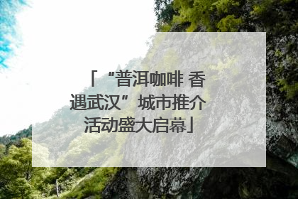 “普洱咖啡 香遇武汉”城市推介活动盛大启幕