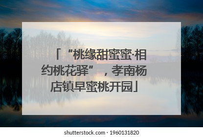 “桃缘甜蜜蜜·相约桃花驿”，孝南杨店镇早蜜桃开园