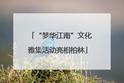 “梦华江南”文化雅集活动亮相柏林