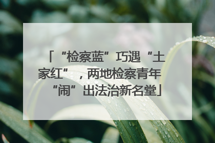 “检察蓝”巧遇“土家红”，两地检察青年“闹”出法治新名堂
