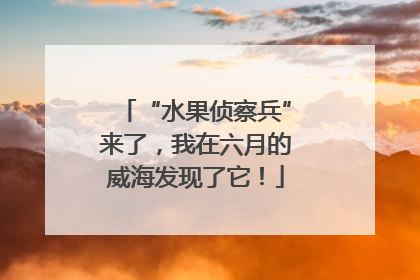 “水果侦察兵”来了，我在六月的威海发现了它！