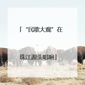 “民歌大观”在珠江源头唱响