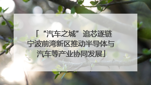 “汽车之城”追芯逐链 宁波前湾新区推动半导体与汽车等产业协同发展