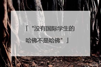 “没有国际学生的哈佛不是哈佛”