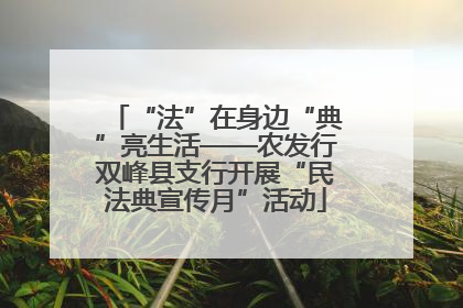 “法”在身边“典”亮生活——农发行双峰县支行开展“民法典宣传月”活动