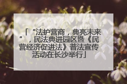 “法护营商，典亮未来”，民法典进园区暨《民营经济促进法》普法宣传活动在长沙举行