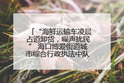 “海鲜运输车凌晨占道卸货，噪声扰民” 海口博爱街道城市综合行政执法中队：将联合交警加强长堤路一带巡逻