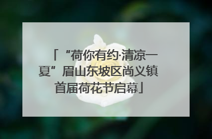 “荷你有约·清凉一夏”眉山东坡区尚义镇首届荷花节启幕