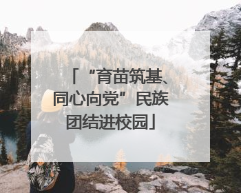 “育苗筑基、同心向党”民族团结进校园