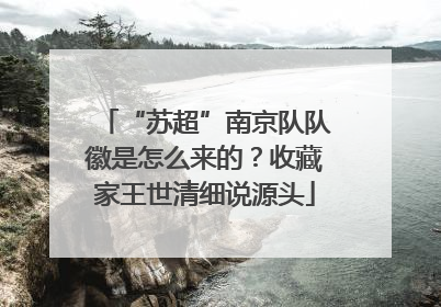 “苏超”南京队队徽是怎么来的？收藏家王世清细说源头