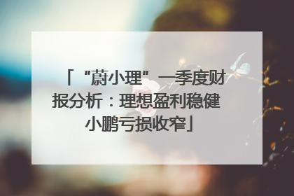 “蔚小理”一季度财报分析：理想盈利稳健 小鹏亏损收窄
