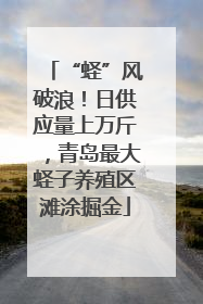“蛏”风破浪！日供应量上万斤，青岛最大蛏子养殖区滩涂掘金