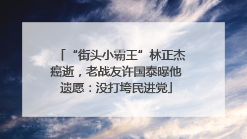 “街头小霸王”林正杰癌逝，老战友许国泰曝他遗愿：没打垮民进党