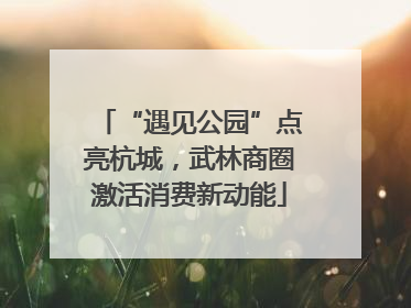 “遇见公园”点亮杭城，武林商圈激活消费新动能