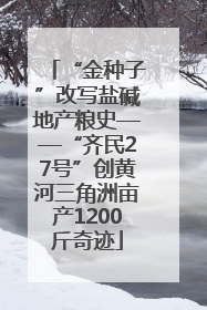 “金种子”改写盐碱地产粮史——“齐民27号”创黄河三角洲亩产1200斤奇迹