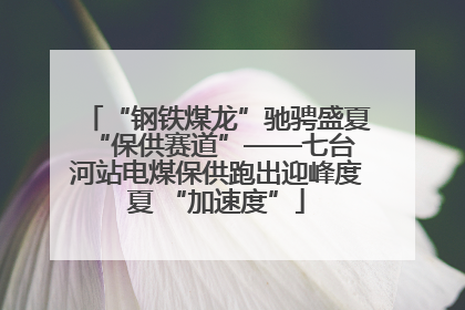 “钢铁煤龙”驰骋盛夏 “保供赛道”——七台河站电煤保供跑出迎峰度夏 “加速度”